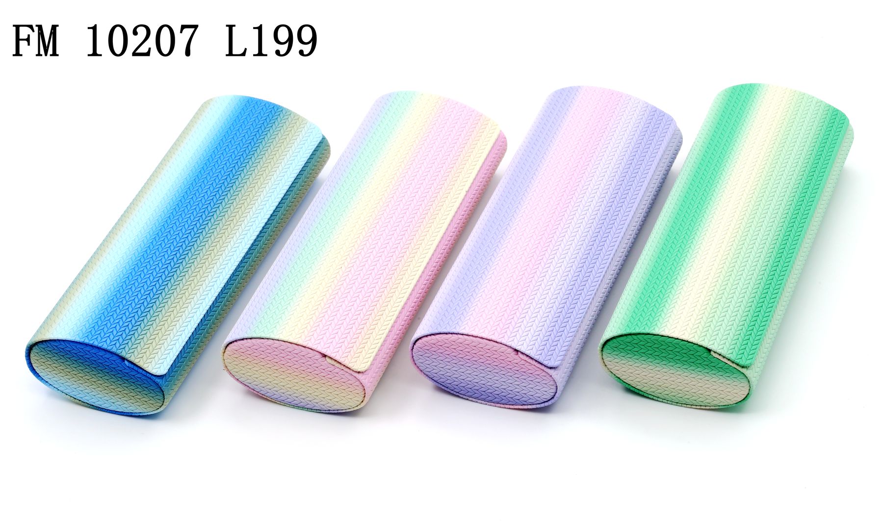 FM10207-L199